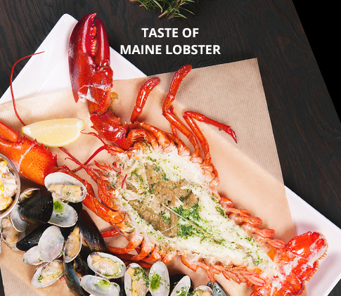 TASTE OT MAINE LOBSTER