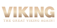 VIKING GROUP 바이킹 그룹